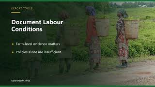 Rainforest Alliance certification checklist: geolocation, no-conversion, and farm records | DEAP…