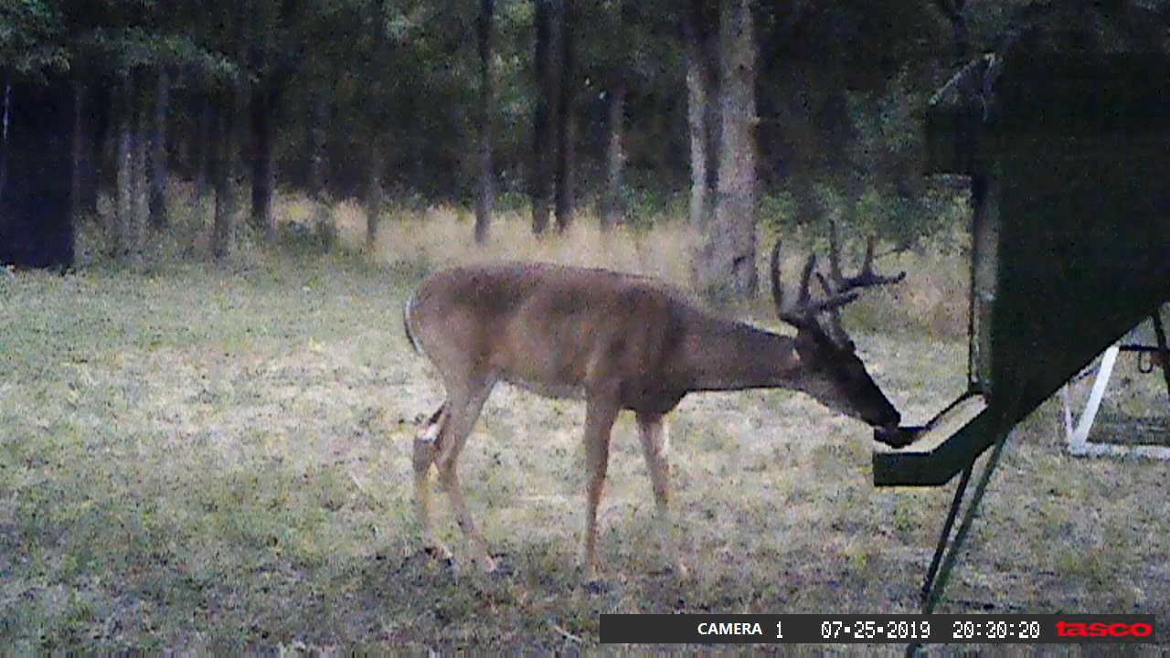 Brand New 180lb Rice Bran Feeder Youtube