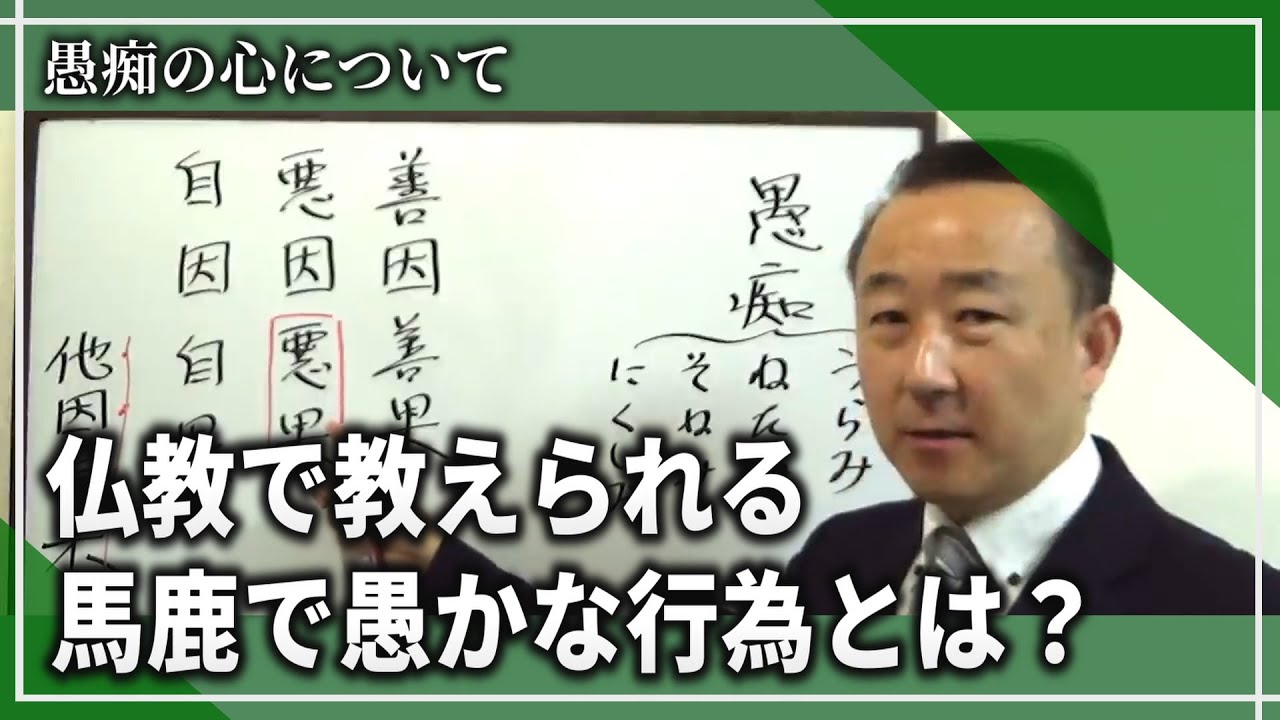 仏教で教えられる馬鹿で愚かな行為とは？愚痴の心について【菊谷隆太先生の仏教切り抜きチャンネル】#煩悩 #怒り #アンガーマネジメント #愚痴 #嫉妬