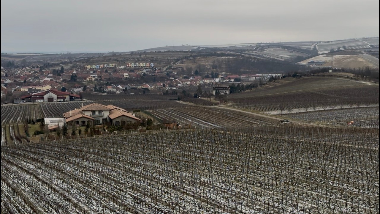Víno, tradice a zvuk zvonů. Šitbořice propojují historii s kouzlem Pálavy | Místopis