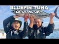 THOUSANDS BLUEFIN TUNA: Way Too Fresh | Catch and Sushi