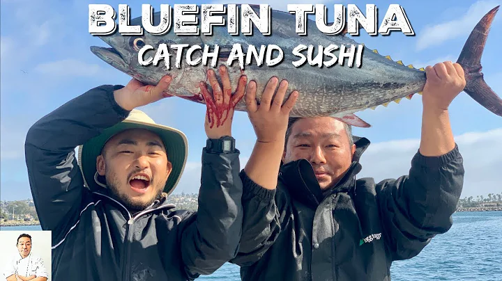 THOUSANDS BLUEFIN TUNA: Way Too Fresh | Catch and Sushi - DayDayNews