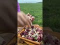هكذا يتناول المنغوليون امعاء البقر مع اللحم 