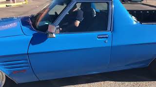 Roseworthy Shownshine