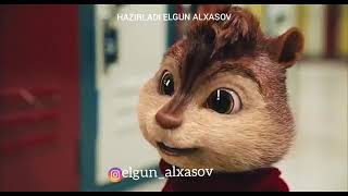 Sincablar Gul Sene Gulusun Yarasir