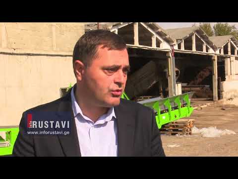 რა ხდება სოკოს საწარმოში