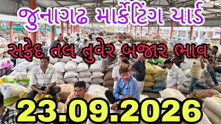 નવા સફેદ તલ ના બજાર ભાવ નવા કાળા તલ ના ભાવ આજના નવી તુવેર હરાજી લાઈવ જુનાગઢ junagadh marketing yard. screenshot 4
