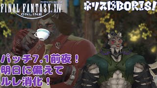 【FF14-22】パッチ7.1前日！やり残しを洗い出し！【闇の戦士兼シナリオライター系ケモノVtuber】