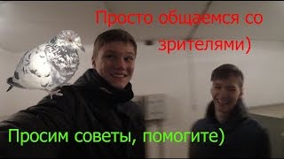 Общение со зрителями и просьба идей идей для новых видео Общение со зрителями и просьба идей идей для новых видео