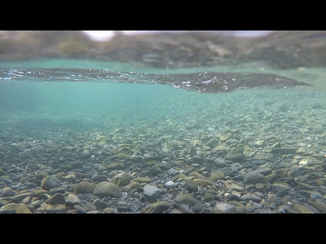 Loading video