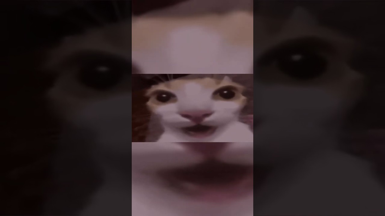 Valorant Funny Highlights: The Most Diabolical Whiff Ever! 