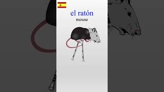 🐁 Learn Spanish with Mnemonics – Mice are Not Rats