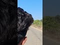 no like 🫵 please like #youtubeshort#ridar