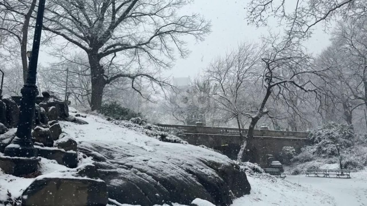 Snowing in Central Park New York City Part 5