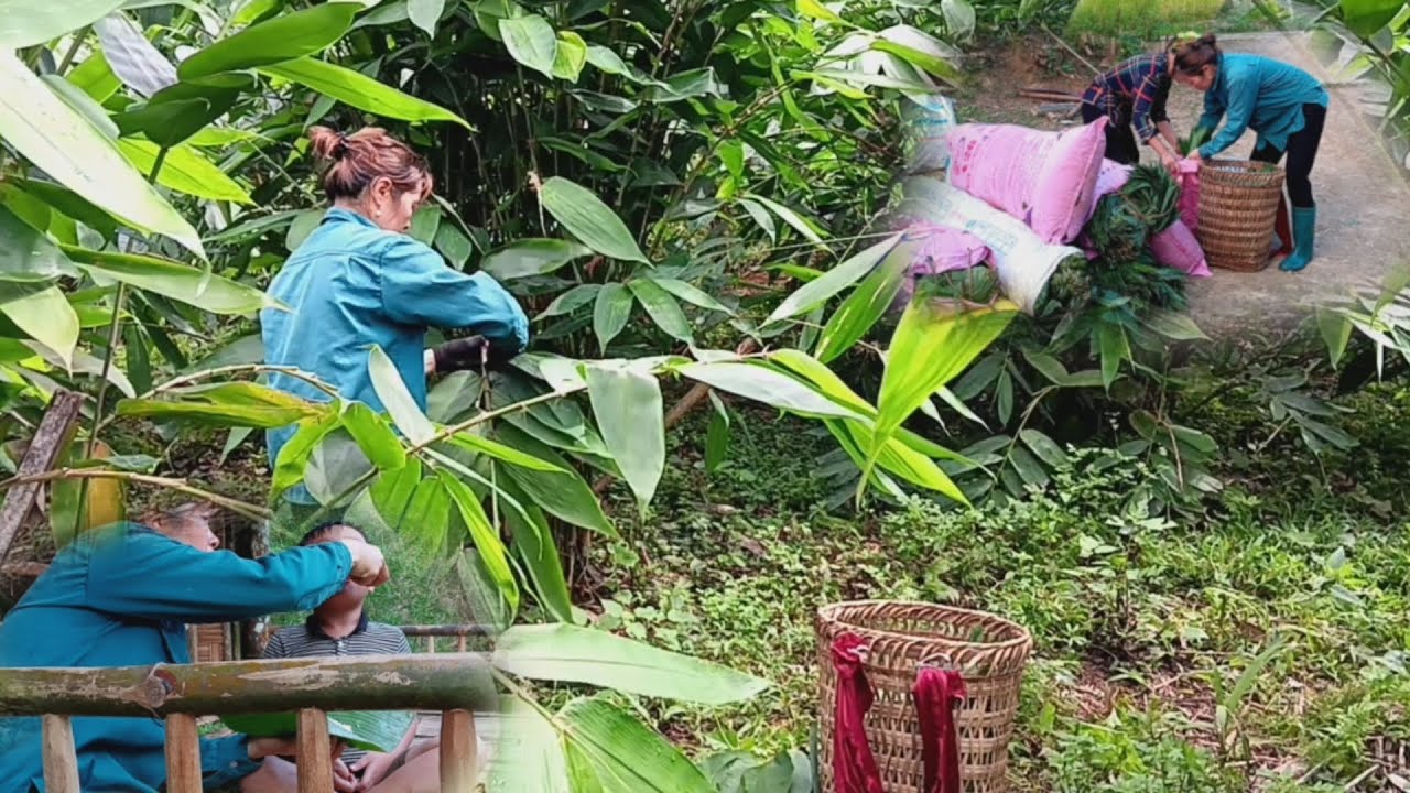 There was not enough food to make ends meet, so the mother went to the ...