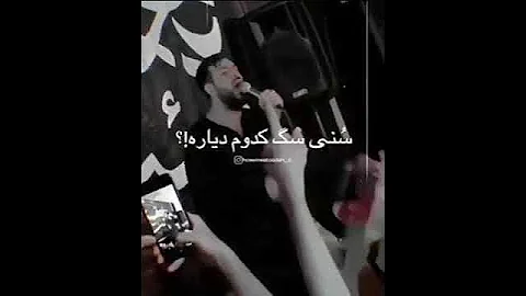 سنی سگ کدوم دیاره 