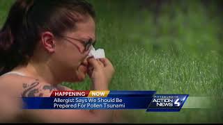 Thanks to our extended winter, a 'pollen tsunami' may hit Pennsylvania this spring