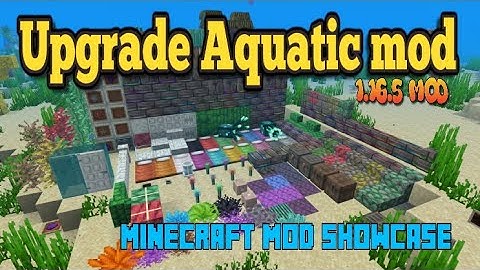 Minecraft 1.16.5 - Upgrade Aquatic mod