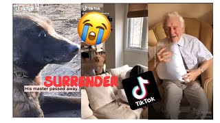 Sad Tik Tok Surrender Video
