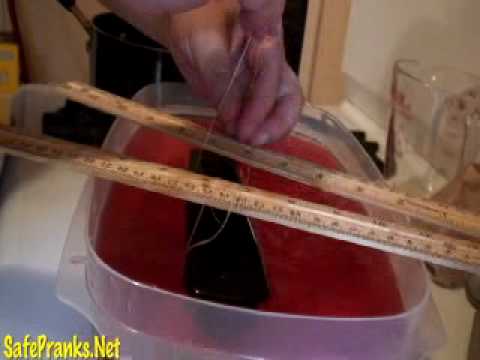 How to put a stapler in Jello gelatin