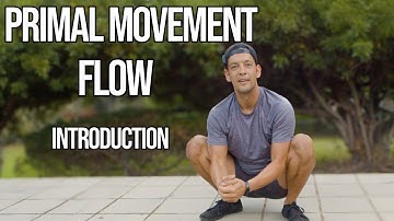 Intro to Primal Movement Flow | Bear Crawls, Duck Walks & Ground-Based Mobility