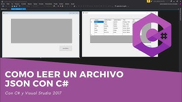 Como Leer un archivo JSON con C# y Windows Form