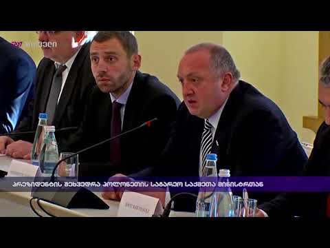 პრეზიდენტის შეხვედრა პოლონეთის საგარეო საქმეთა მინისტრთან