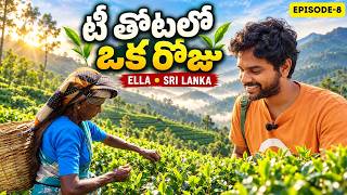 A Day in the Tea Gardens of Sri Lanka! 🍃 | Sri Lanka Ella Tea Estate Journey | Telugu Travel Vlog