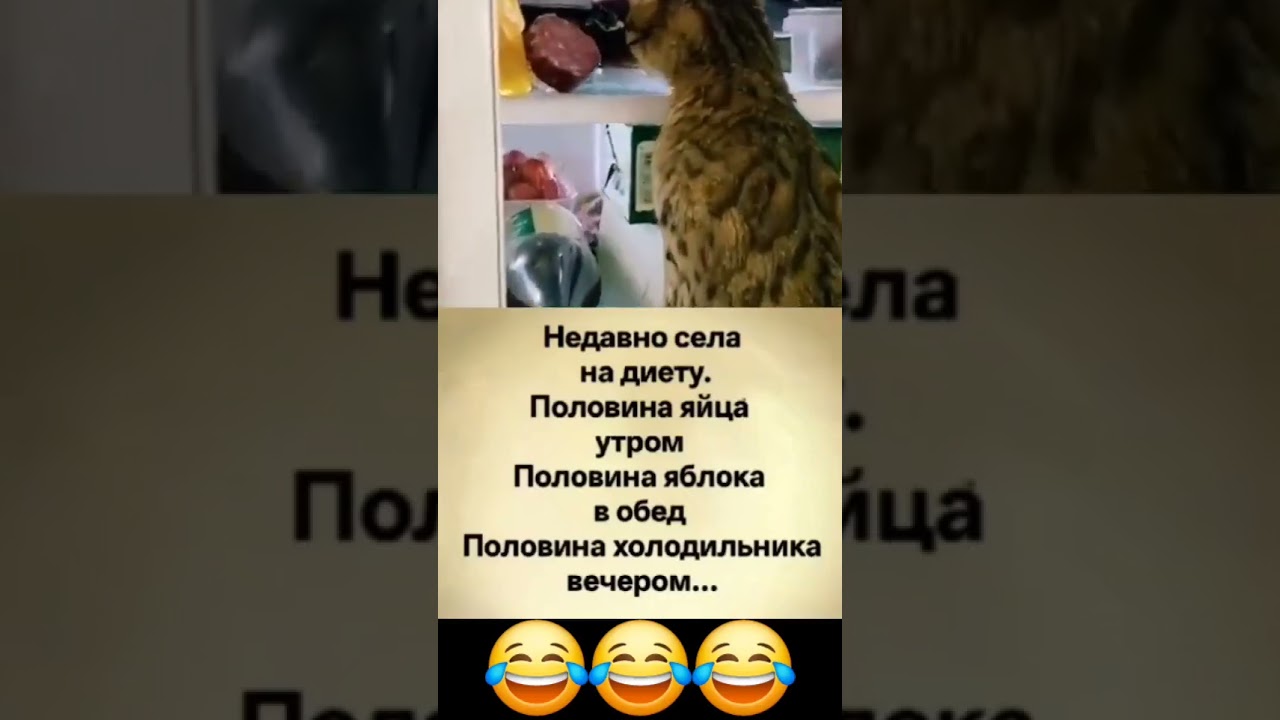 #юмор