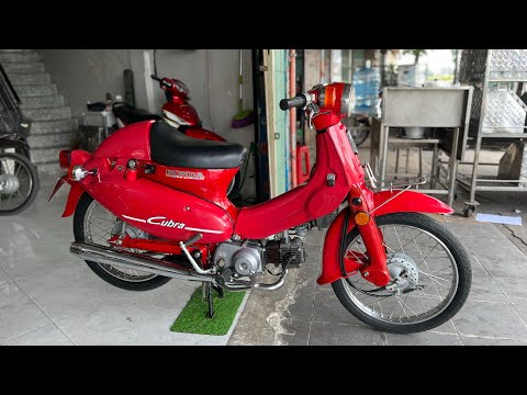 Video #đãbán Honda cub 50 Little Cubra xe nội địa nhật zin... - youtube
