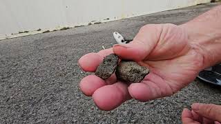 Crushing Rock, Finds, D Bug2