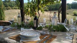 Ca' Novae - Tuscan Country Farmhouse, Montieri, Italy | Holidays In Italy