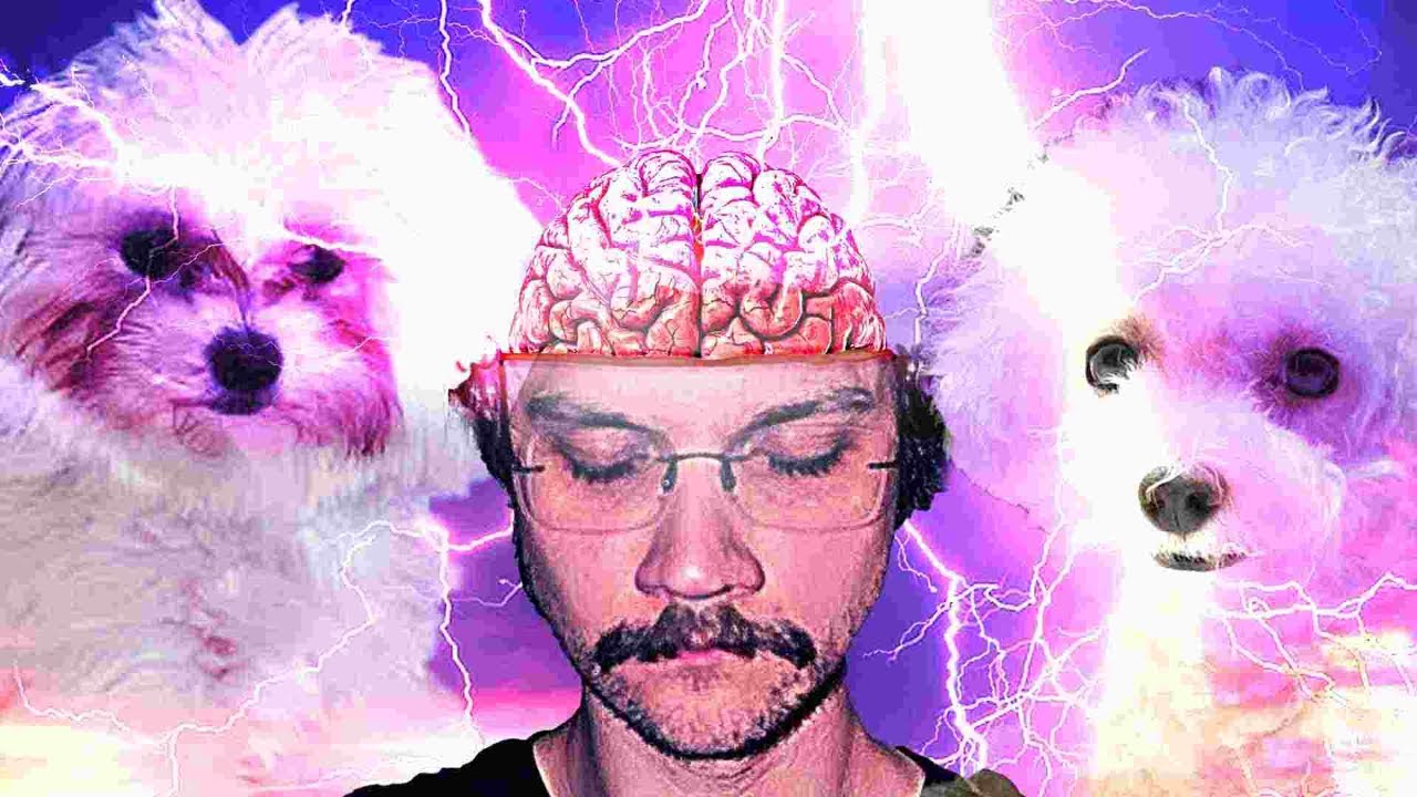 stream któremu możesz zaufać