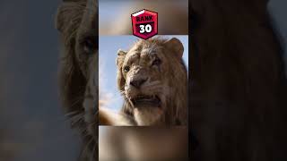 Lion King Brawl Stars Rank #shorts Resimi