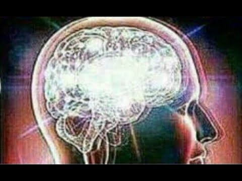 PEE IS STORED IN THE BALLS