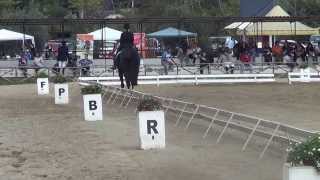 DANIELA COLANINNO & CHARLIE BROWN D1 National test 64% CATANIA