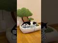 寝る場所でわかる猫の信頼度TOP3