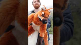 How I made a maned wolf plushie start to finish #customplush #furry