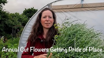 Enough Space for Annuals? Which ones am I Making the Room for?