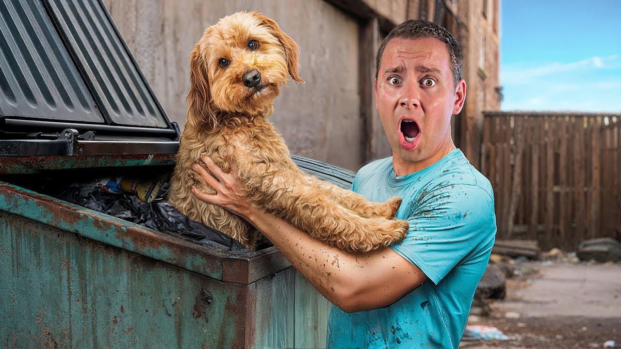 NEKO NAM JE UBACIO PSA U KANTU!