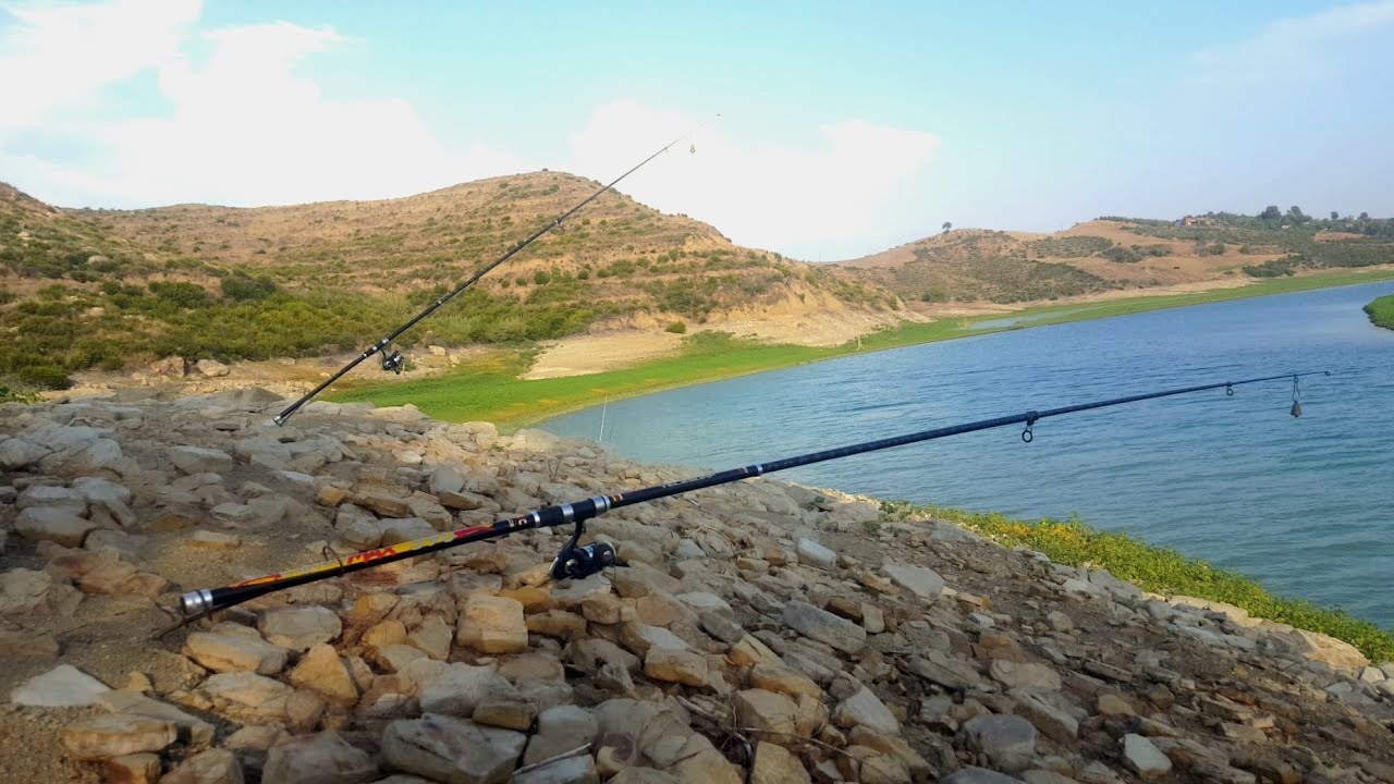 SİHİRLİ YEMLE SAZANLARIN İÇİNDEN GEÇTİK...YOK BÖYLE BİR YEM...SAZANLARI ÇILDIRDITTI...