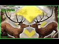 THERES NO WAY! 2 Diamond TruRACS Axis Deer IN THE SAME HERD! Call of the wild