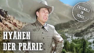 Hyänen der Prärie (1947) koloriert