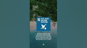 SDG #16 - Promote peaceful and inclusive societies