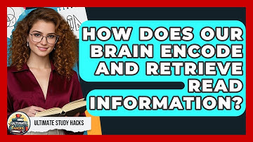 How Does Our Brain Encode And Retrieve Read Information? - Ultimate Study Hacks