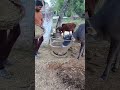 अपना गांव || गांव घूमने आया हूं