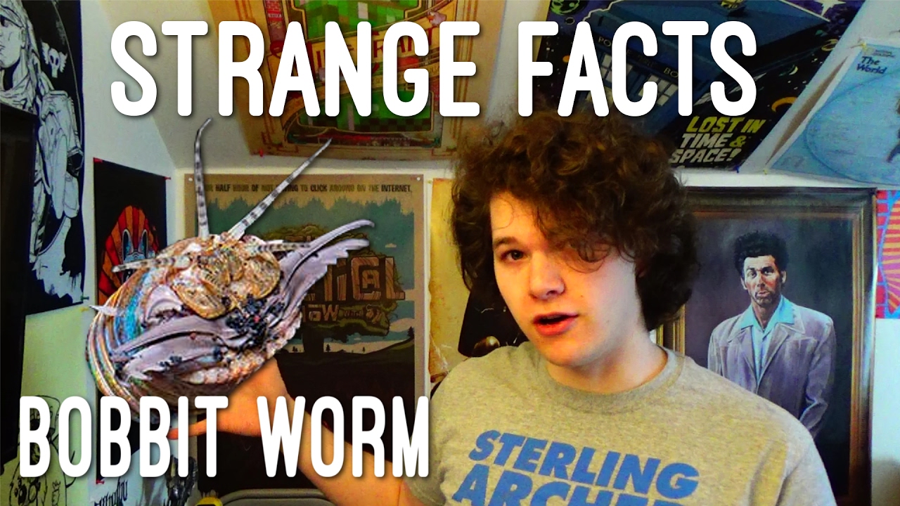 Strange Facts: Ep 6 - Bobbit Worm