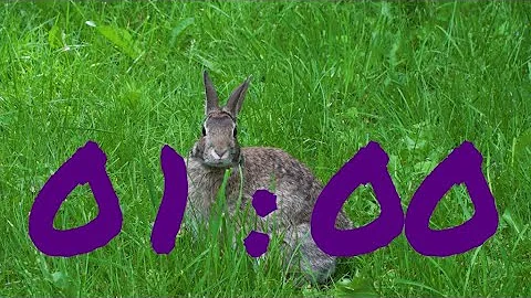 1-Minute Easter Countdown Timer with Cute Bunny and Upbeat Music