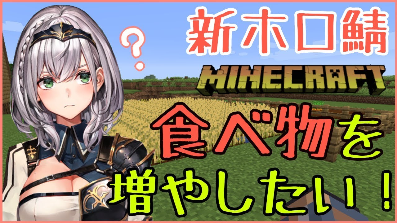 【マイクラ】新ホロ鯖でイチから農作業する！ふんふんっ！【ホロライブ/白銀ノエル】