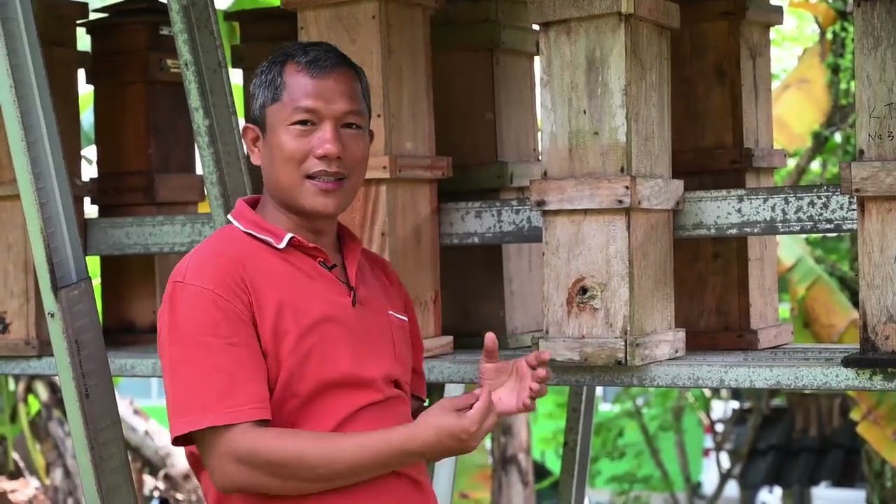 Budidaya Lebah Trigona di Urban Bee Teuweul Bogor